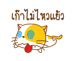 KAI-TOM The Cat (Dookdik) sticker #12015484
