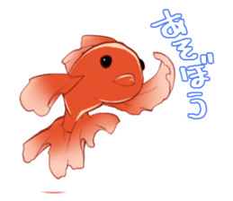 Goldfish and Summer sticker #12016167
