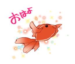 Goldfish and Summer sticker #12016171