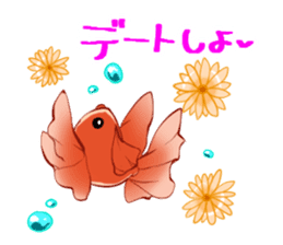 Goldfish and Summer sticker #12016188