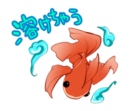 Goldfish and Summer sticker #12016190