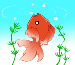 Goldfish and Summer sticker #12016193