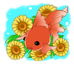 Goldfish and Summer sticker #12016201