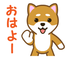 Animated! Daily of "Taro Shiba Inu" sticker #12016230