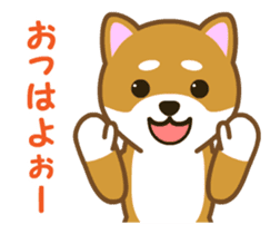 Animated! Daily of "Taro Shiba Inu" sticker #12016231