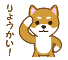 Animated! Daily of "Taro Shiba Inu" sticker #12016232