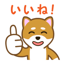 Animated! Daily of "Taro Shiba Inu" sticker #12016233