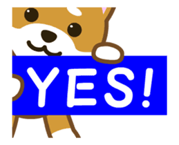 Animated! Daily of "Taro Shiba Inu" sticker #12016235
