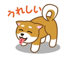 Animated! Daily of "Taro Shiba Inu" sticker #12016237