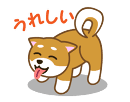 Animated! Daily of "Taro Shiba Inu" sticker #12016237