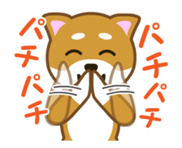Animated! Daily of "Taro Shiba Inu" sticker #12016238