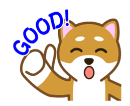 Animated! Daily of "Taro Shiba Inu" sticker #12016239