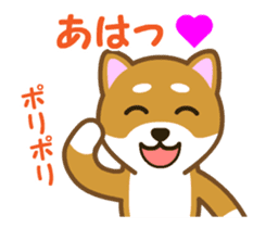 Animated! Daily of "Taro Shiba Inu" sticker #12016240