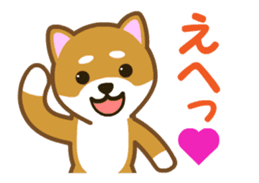 Animated! Daily of "Taro Shiba Inu" sticker #12016241