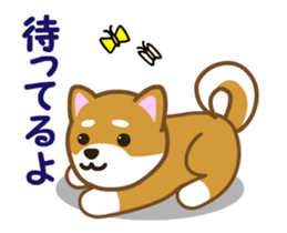 Animated! Daily of "Taro Shiba Inu" sticker #12016243