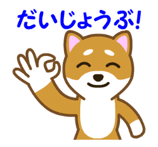Animated! Daily of "Taro Shiba Inu" sticker #12016245
