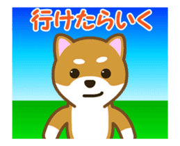 Animated! Daily of "Taro Shiba Inu" sticker #12016248