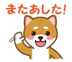 Animated! Daily of "Taro Shiba Inu" sticker #12016249