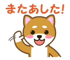 Animated! Daily of "Taro Shiba Inu" sticker #12016249