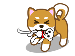 Animated! Daily of "Taro Shiba Inu" sticker #12016251