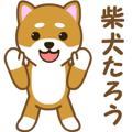 Animated! Daily of "Taro Shiba Inu"