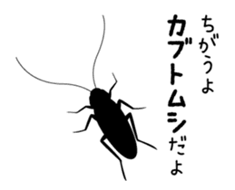 Cockroach moving sticker #12016811