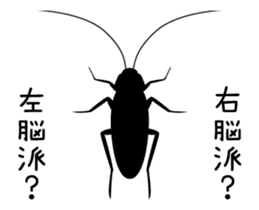 Cockroach moving sticker #12016812