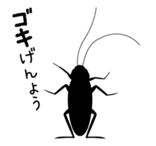 Cockroach moving sticker #12016813