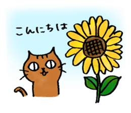 A cat named Torata7 in summer sticker #12018927