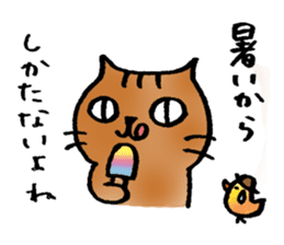 A cat named Torata7 in summer sticker #12018937