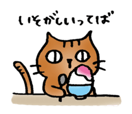 A cat named Torata7 in summer sticker #12018939