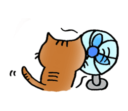 A cat named Torata7 in summer sticker #12018940