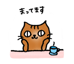 A cat named Torata7 in summer sticker #12018942