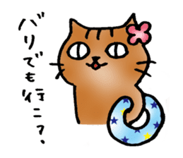 A cat named Torata7 in summer sticker #12018952