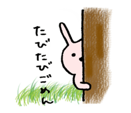 A cat named Torata7 in summer sticker #12018956