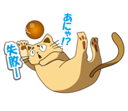 Pals of funny cat sticker #12019956