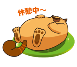 Pals of funny cat sticker #12019961