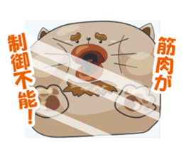 Pals of funny cat sticker #12019978