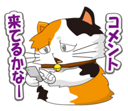 Pals of funny cat sticker #12019984