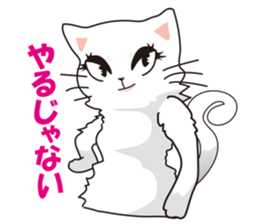 Pals of funny cat sticker #12019989