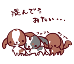 CavalierSticker_5 sticker #12020233