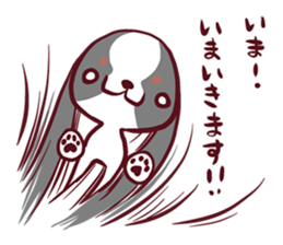 CavalierSticker_5 sticker #12020238