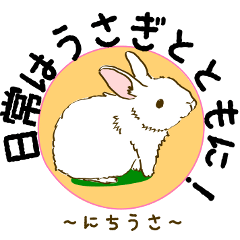 Everyday with the rabbits