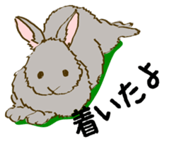 Everyday with the rabbits sticker #12022336