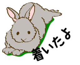 Everyday with the rabbits sticker #12022336