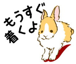 Everyday with the rabbits sticker #12022337