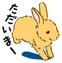 Everyday with the rabbits sticker #12022338