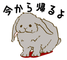 Everyday with the rabbits sticker #12022342