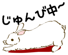 Everyday with the rabbits sticker #12022344