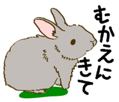 Everyday with the rabbits sticker #12022347